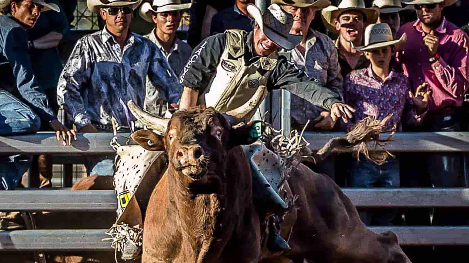 Cheyenne Frontier Days Rodeo Tickets