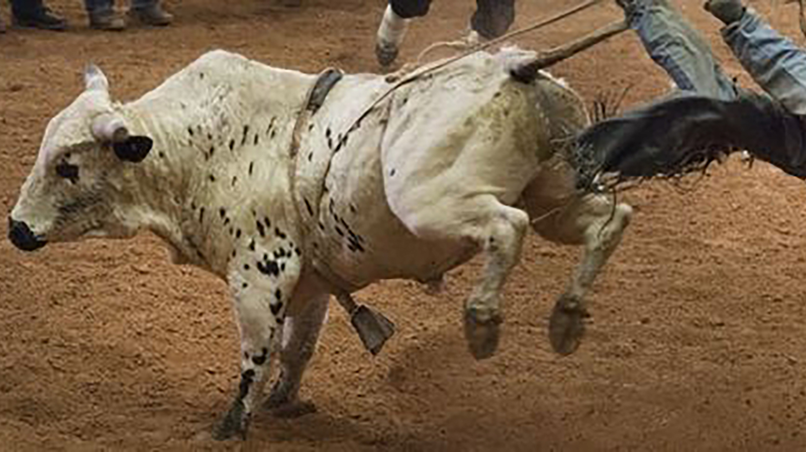 8 Seconds To Glory Extreme Bull Riding Tickets